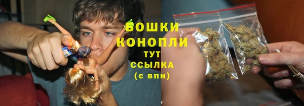 ПСИЛОЦИБИНОВЫЕ ГРИБЫ Кулебаки