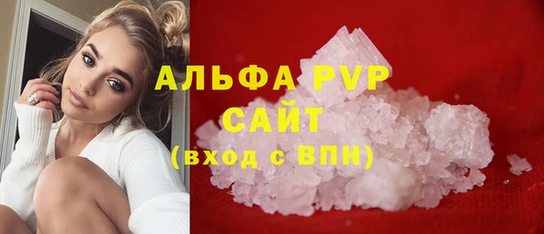 ПСИЛОЦИБИНОВЫЕ ГРИБЫ Кулебаки