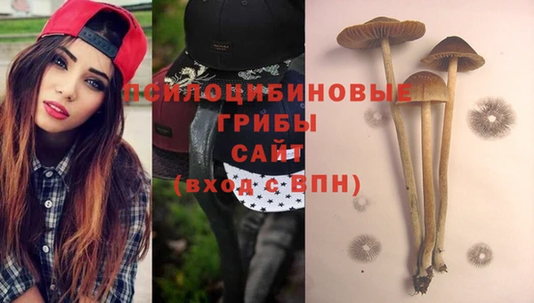 гидропоника Кодинск