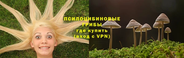 ALPHA PVP Куйбышев