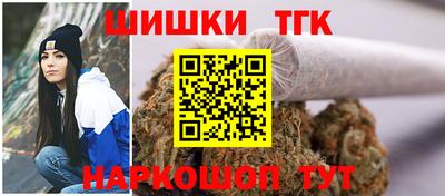 мдпв Обнинск