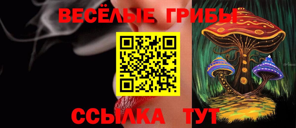 Псилоцибиновые грибы Psilocybe Бутурлиновка